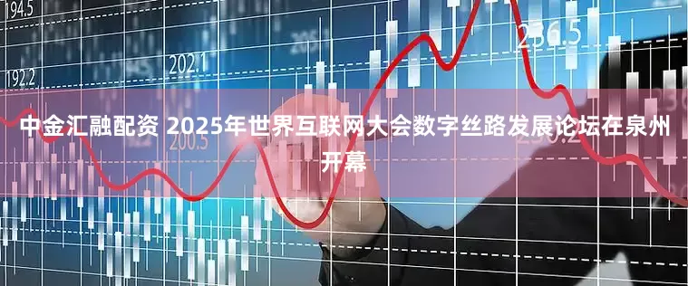 中金汇融配资 2025年世界互联网大会数字丝路发展论坛在泉州开幕