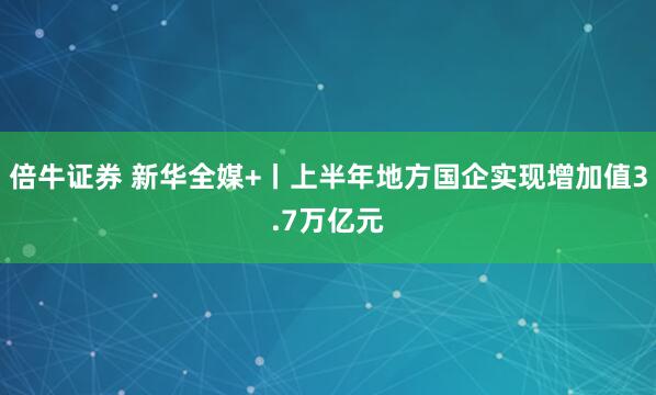 倍牛证券 新华全媒+丨上半年地方国企实现增加值3.7万亿元