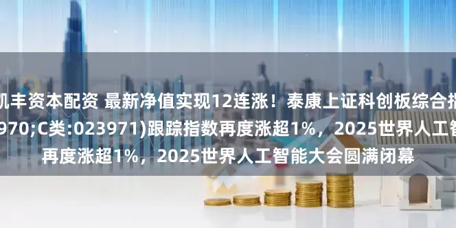 凯丰资本配资 最新净值实现12连涨！泰康上证科创板综合指数增强(A类:023970;C类:023971)跟踪指数再度涨超1%，2025世界人工智能大会圆满闭幕