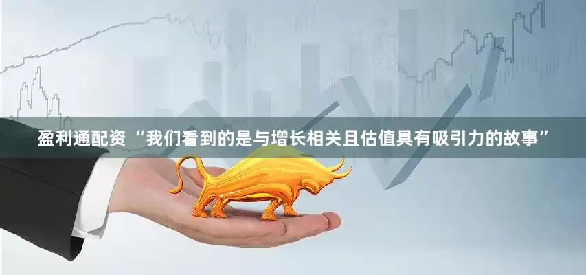 盈利通配资 “我们看到的是与增长相关且估值具有吸引力的故事”